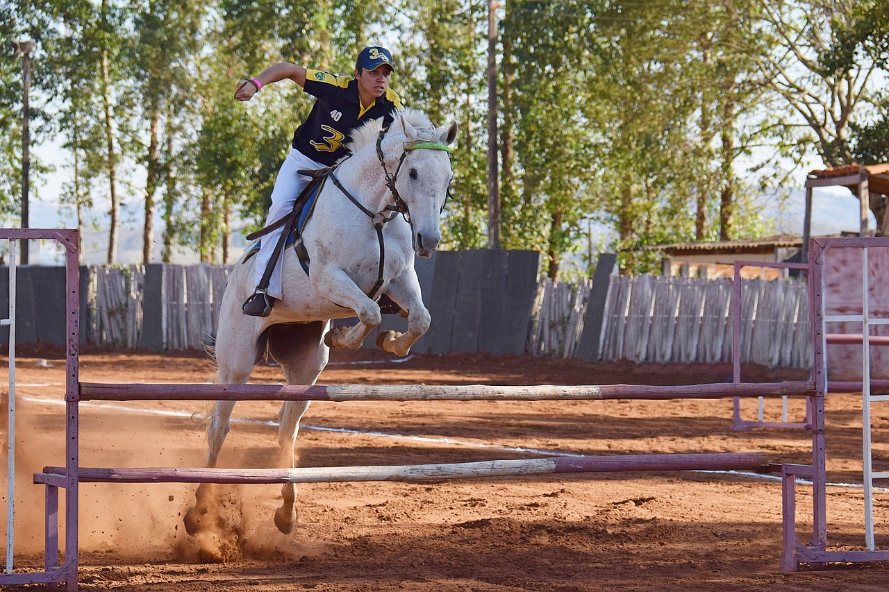 L'équipement de sécurité indispensable pour monter à cheval - Blog Equestra